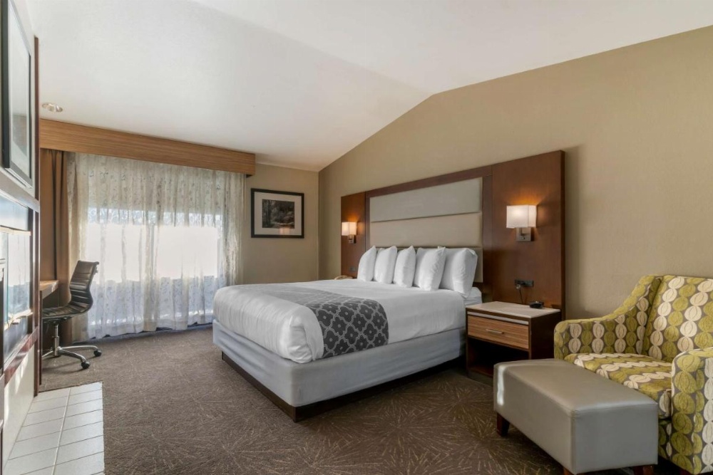 Best Western Plus Forest Park Inn Image 6